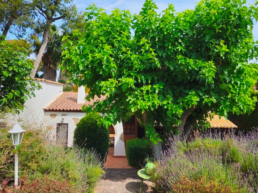 Property 2452 - Image 6